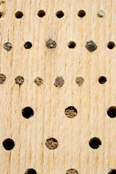 Differently closed nesting tubes in an artificial nesting aid (insect hotel) Stock Photos