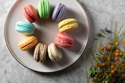 Differnt color macaroons on a plate Stock Photos