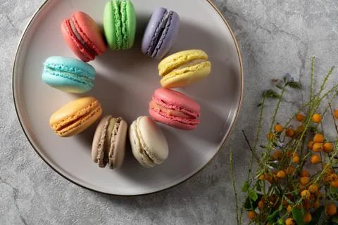 Differnt color macaroons on a plate Stock Photos