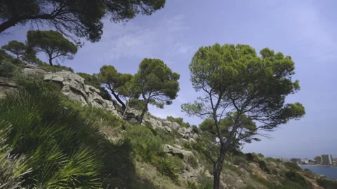Difficult ascent along the path of stones uphill Stock Footage 249536463