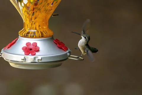 Difficult Landing Stock Photos