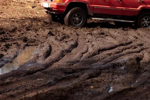Difficult to pass dirty Forest road Stock Photos