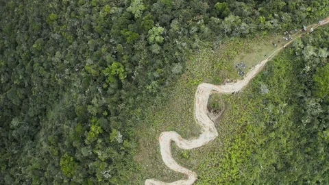 Difficult path ahead: Aerial view of a winding path through the rain forest Stock Footage 117073522