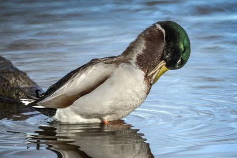 Difficult to reach Stock-Fotos