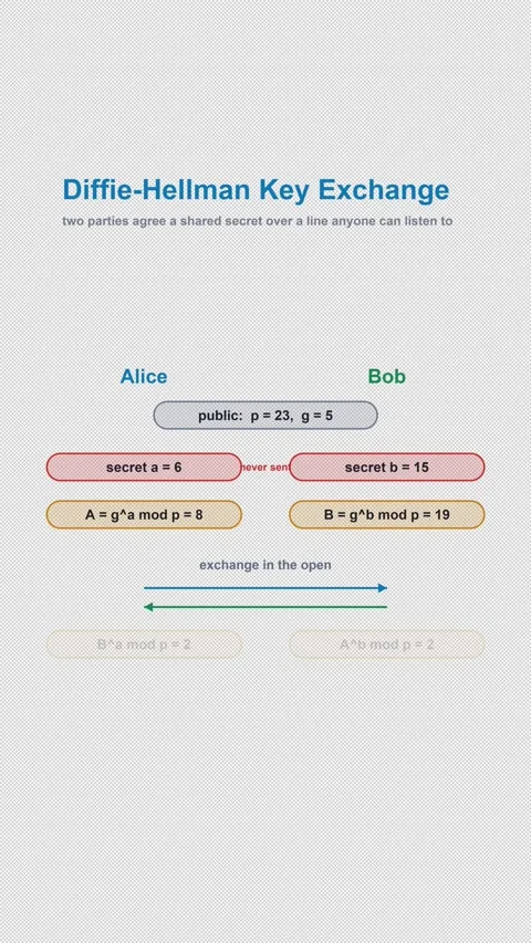 Diffie-Hellman Key Exchange Labeled Cryptography Diagram 4K Vertical 9x16 Light 库存影片 339645502