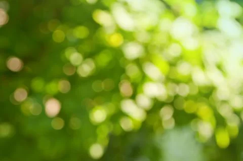 Diffuse background in  green and white colors Stock-Fotos