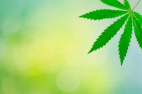 Diffuse Cannabis leaf, marijuana over spring or summer background with copy s Stock Illustration