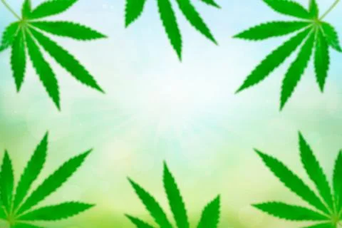 Diffuse Cannabis leaf, marijuana over spring or summer background with copy s Stock Illustration