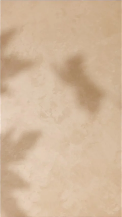 Diffuse maple leaf shadows on beige textured wall background for autumn des.. Stock Footage 345089944