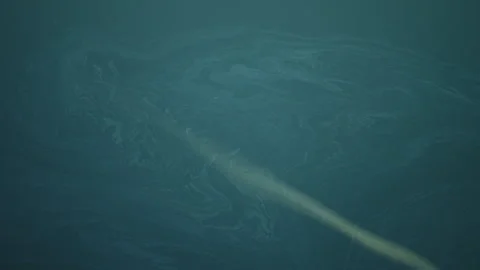 Diffuse reflection of an airplane and contrail on calm water surface with f.. Stock Footage 328460559