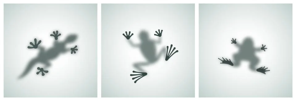 Diffuse Reptiles Silhouettes Shadow Abstract Vector Images Set. Toad, Frog Stockillustratie