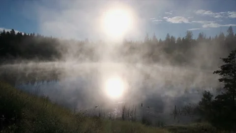 Diffuse sun ball as mist rises off calm pond on boreal forest morning Stock Footage 218108601