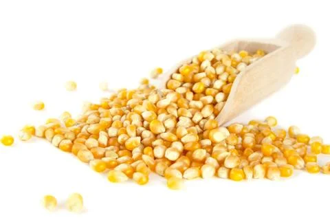 Diffused dried corn with spoon on white background Stock Photos