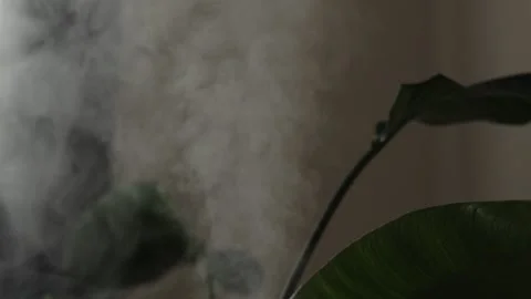 Diffuser, air purifier or humidifier releases strong stream of cold steam Stock Footage 257485399