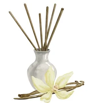 Diffuser with Vanilla flowers and Sticks. Hand drawn watercolor illustration on Stock Illustration