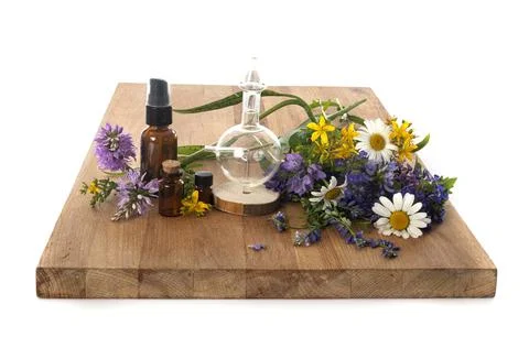 Diffuseur and plants Photos