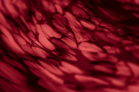 Diffusing of Deep Red Colors Fotos de archivo