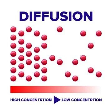 Diffusion Physics Process Vector Info Poster Template Illustrazione stock