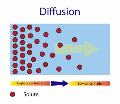 Diffusion process, Diffusion is movement of molecules and atoms Stock Illustration
