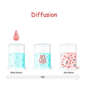 Diffusion process. Laboratory flasks with water before and after diffusion. 스톡 일러스트
