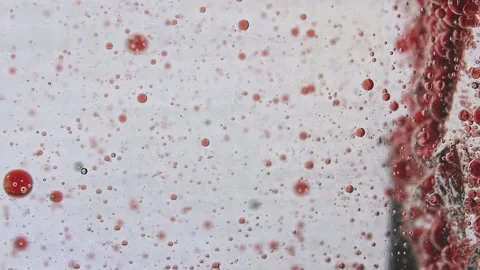 Diffusion of red drops in colorless fluid slow motion Stock Footage 132188673