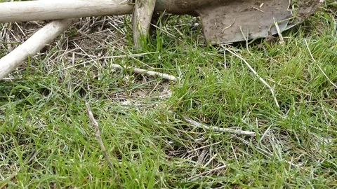 Dig garden soil, do garden in spring, render garden soil in spring Stock Footage 106818107