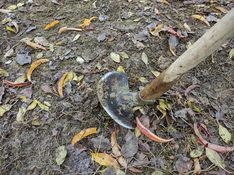 Dig on the ground at farm Foto stock