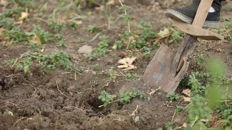 Dig ground Stock Footage 324813041