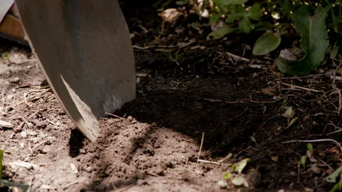 DIG HOLE IN GARDEN Video stock 111600477