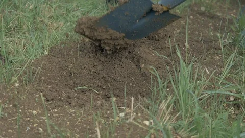 Dig, plant Stock-Footage 119015581