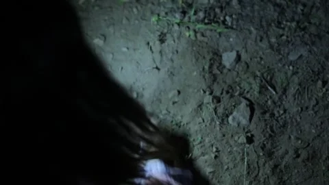 Dig  soil with hands 3 Stock-Footage 322056228