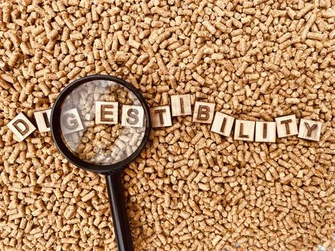 Digestibility for Animal feed Stock Photos