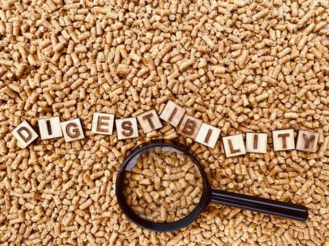 Digestibility for Animal feed Stock Photos