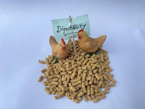 Digestibility issues for Animal, poultry feed Stock Photos