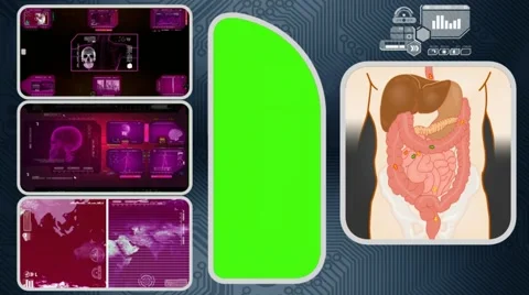 Digestion - Computer Scanning - Human detector - World - pink 03 Stock Footage 62880051