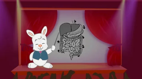 Digestion - Stage Presentation - rabbit 01 스톡 동영상 59912943