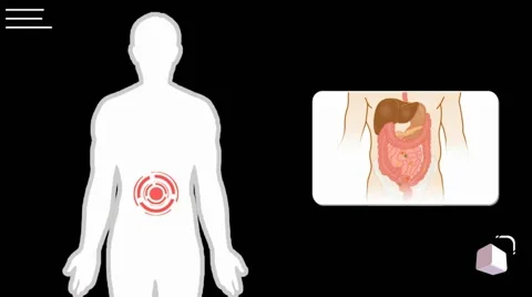 digestion - vector animation - analysis ... | Stock Video | Pond5