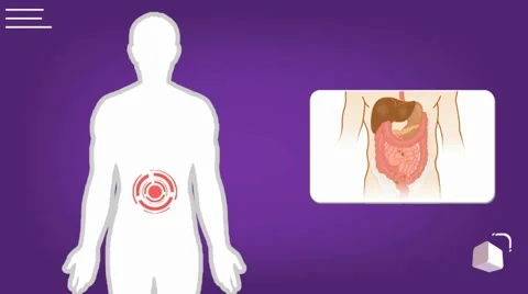 digestion - vector animation - analysis ... | Stock Video | Pond5