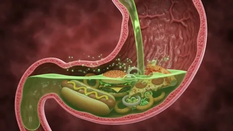 Digestive Acid Breaking Down Food. Video stock 341801978