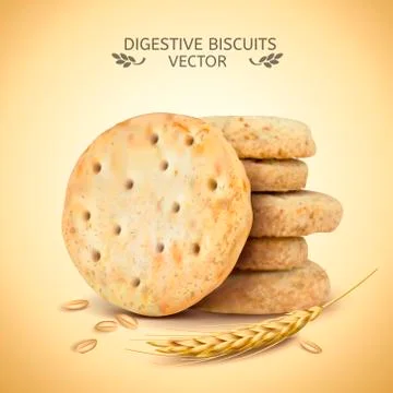 Digestive biscuits element Illustrazione stock