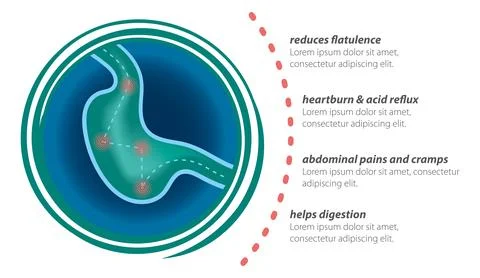 Digestive drugs Stock Illustration