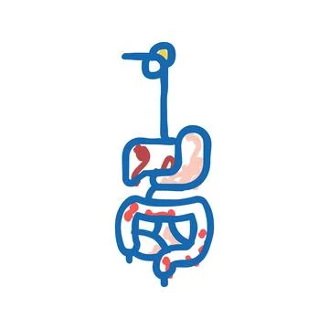 Digestive system icon doodle illustration Stock Illustration