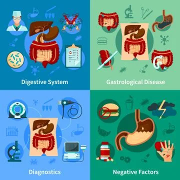 Digestive System Icon Set Stock Illustration