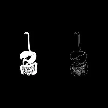 Digestive system icon set white color illustration flat style simple image Stock Illustration