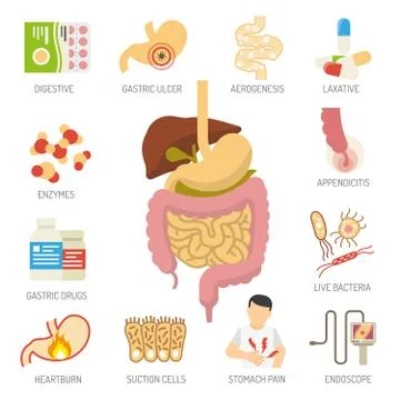 Digestive System Icons Set Illustrazione stock