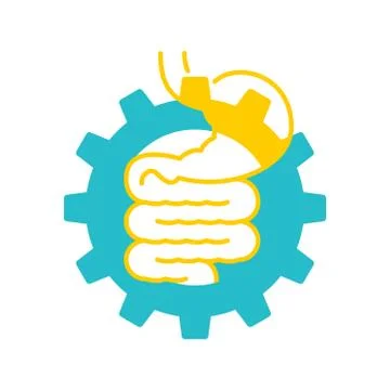 Digestive system Stock Illustration