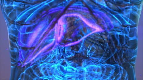 The digestive system illustration, liver Stock Footage 278012857