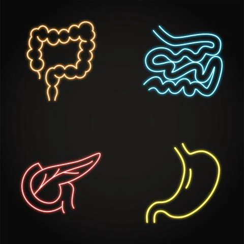 Digestive system neon icon set in line style Stock Illustration