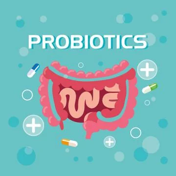 Digestive system with probiotics medicines Stock Illustration