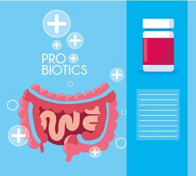 Digestive system with probiotics medicines Stock Illustration